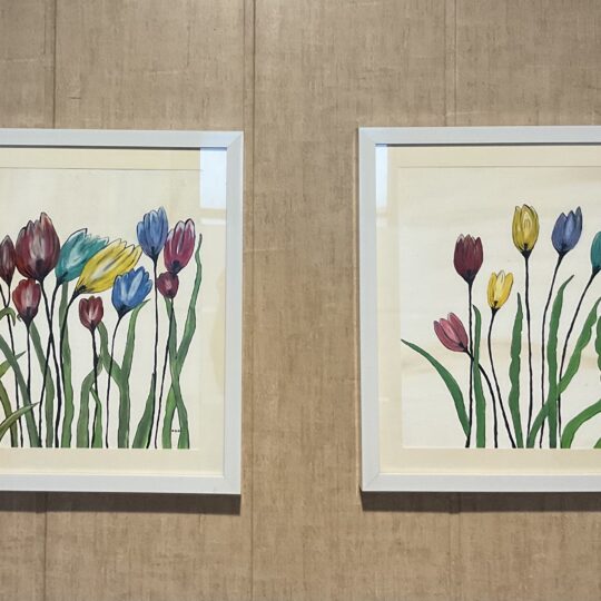 Tulips