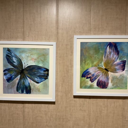 Butterflies