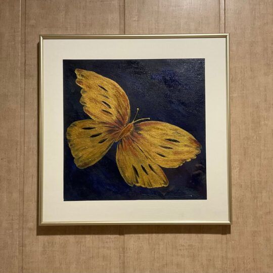 Butterfly